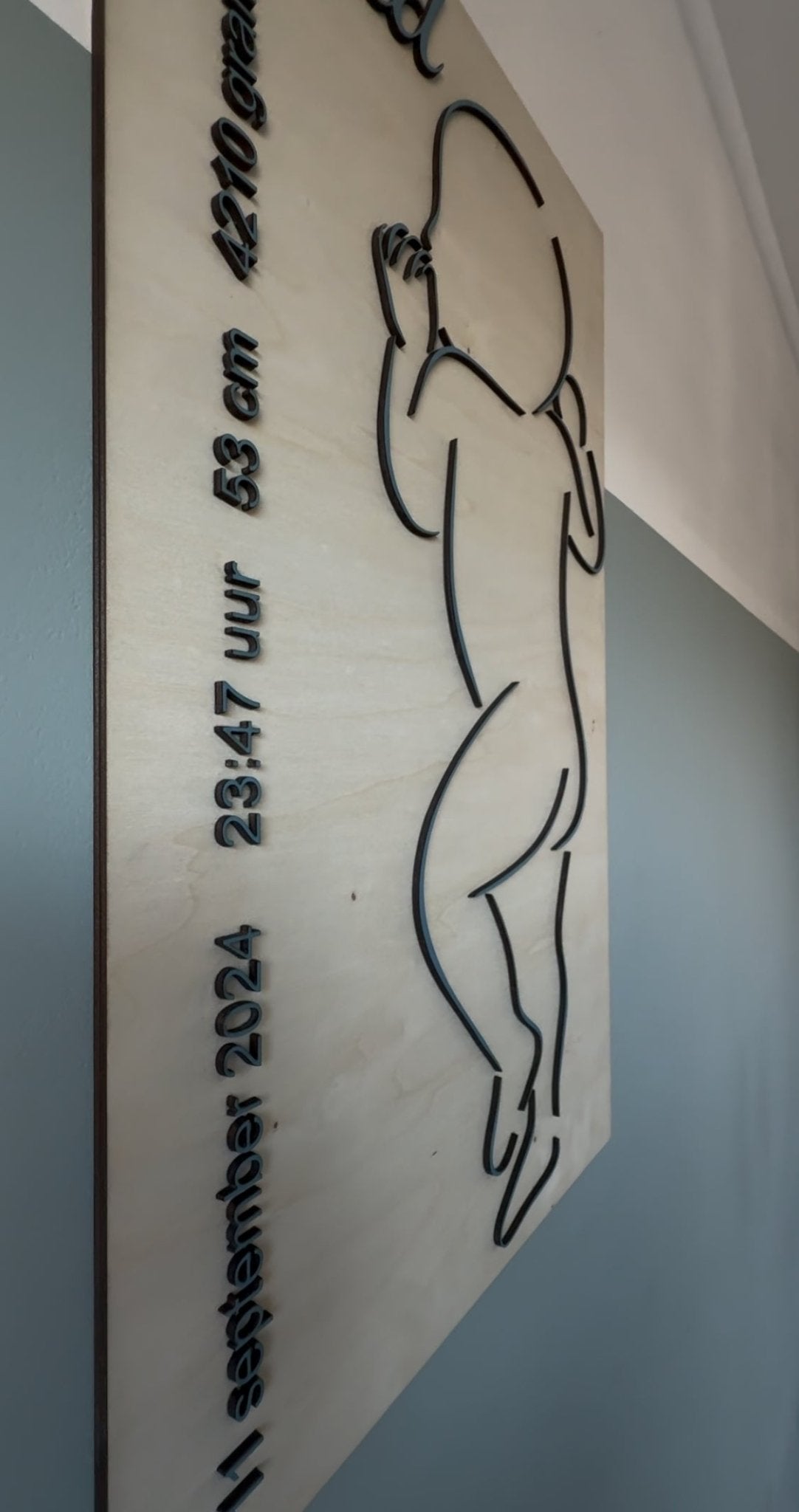 Geboortebord 3D schaal 1:1 - Leuk en Mooi